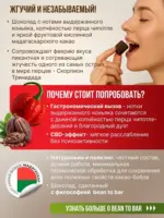 Тёмный шоколад с перцем, Жгучий перчик (70% какао, 100мг CBD) MotherPlant Вес 50гр. — изображение 4