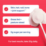 Vital Proteins - Коллагеновые пептиды «Фруктовый лёд» 748 гр — изображение 4